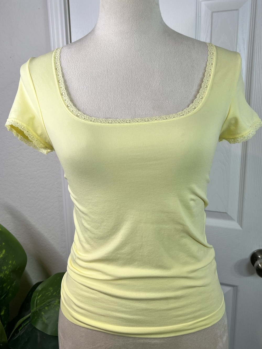 wild fable Light Yellow Scoop Neck Lace Trim Short Sleeve Tee Size M